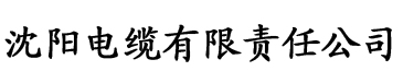 理论片在线观看电缆厂logo